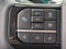 2025 Ford F-150 Lightning Platinum