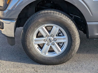 2025 Ford F-150 XL Hybrid