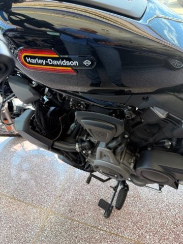 2023 HARLEY-DAVIDSON Nightster Base